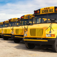 row of yellow school buses lined up in a parking lot